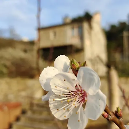 L'innamorata, Esclusivo Vista Mare.