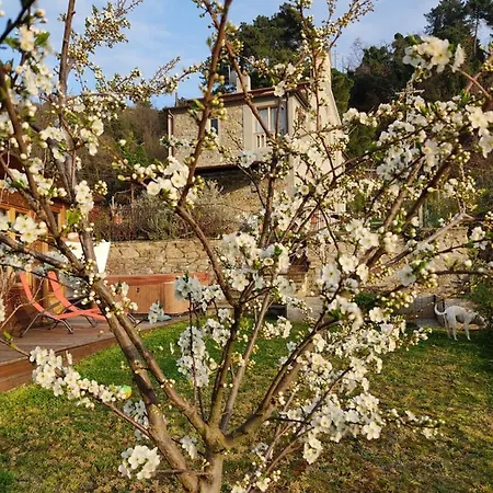 L'innamorata, Esclusivo Vista Mare. Nocleg ze śniadaniem Massarosa