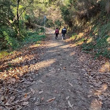 Nocleg ze śniadaniem L'innamorata, Esclusivo Vista Mare. Massarosa